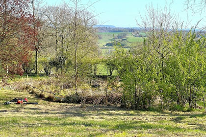 Land for sale in St Cuthbert Without