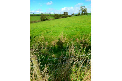 25.3 acres of Pasture for sale in Rimington