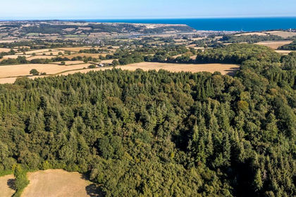 16.9 acres of Woodland for sale in Colyton