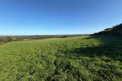 11.1 acres of Agricultural Land for sale in Llandysiliogogo