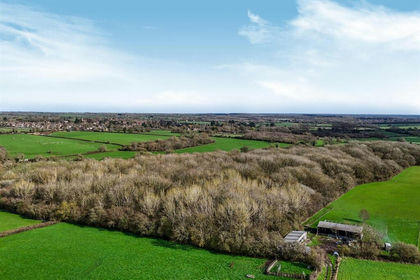 4.3 acres of Hunting Land for sale in Bradden