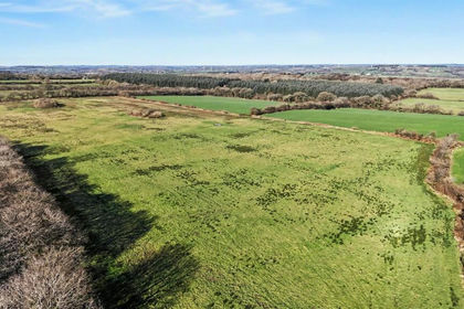 20.2 acres of Agricultural Land for sale in Cookbury