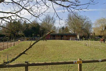Equestrian property for sale in Appledore