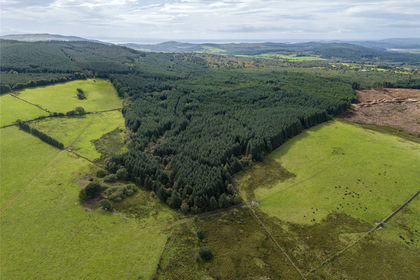 953.9 acres of Timberland for sale in Dumfries & Galloway