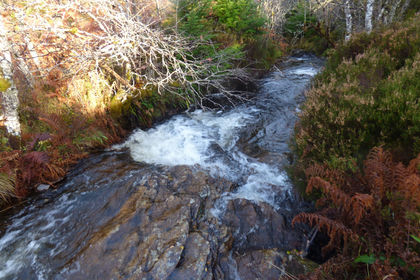 5 acres of Woodland for sale in
