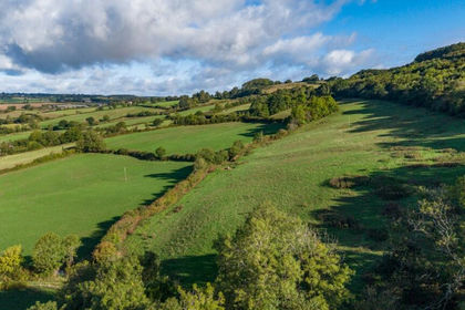 28.5 acres of Pasture for sale in Widworthy