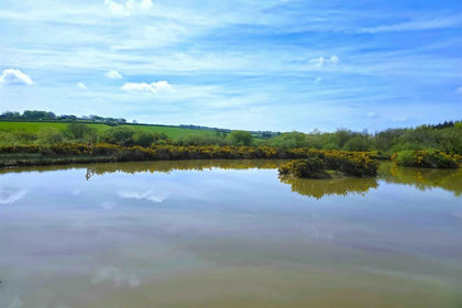 Self Build Plot for sale in Woolfardisworthy