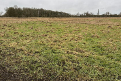 14.4 acres of Farmland for sale in Whittlesey