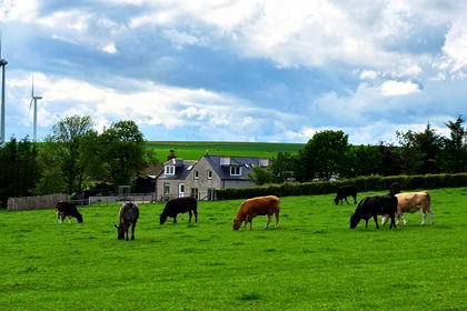 29.5 acres of Farm for sale in Gordon and Buchan