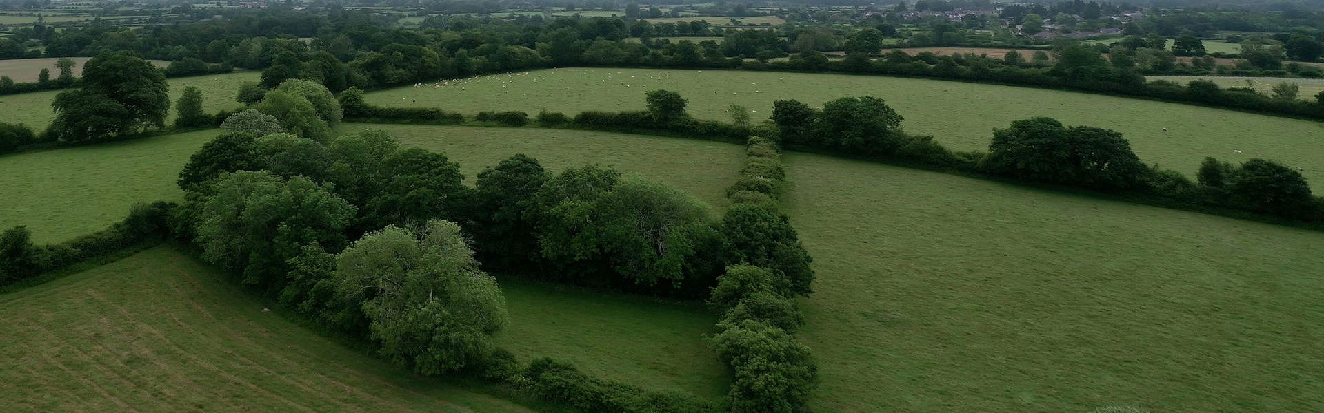 Farmland in the English countryside